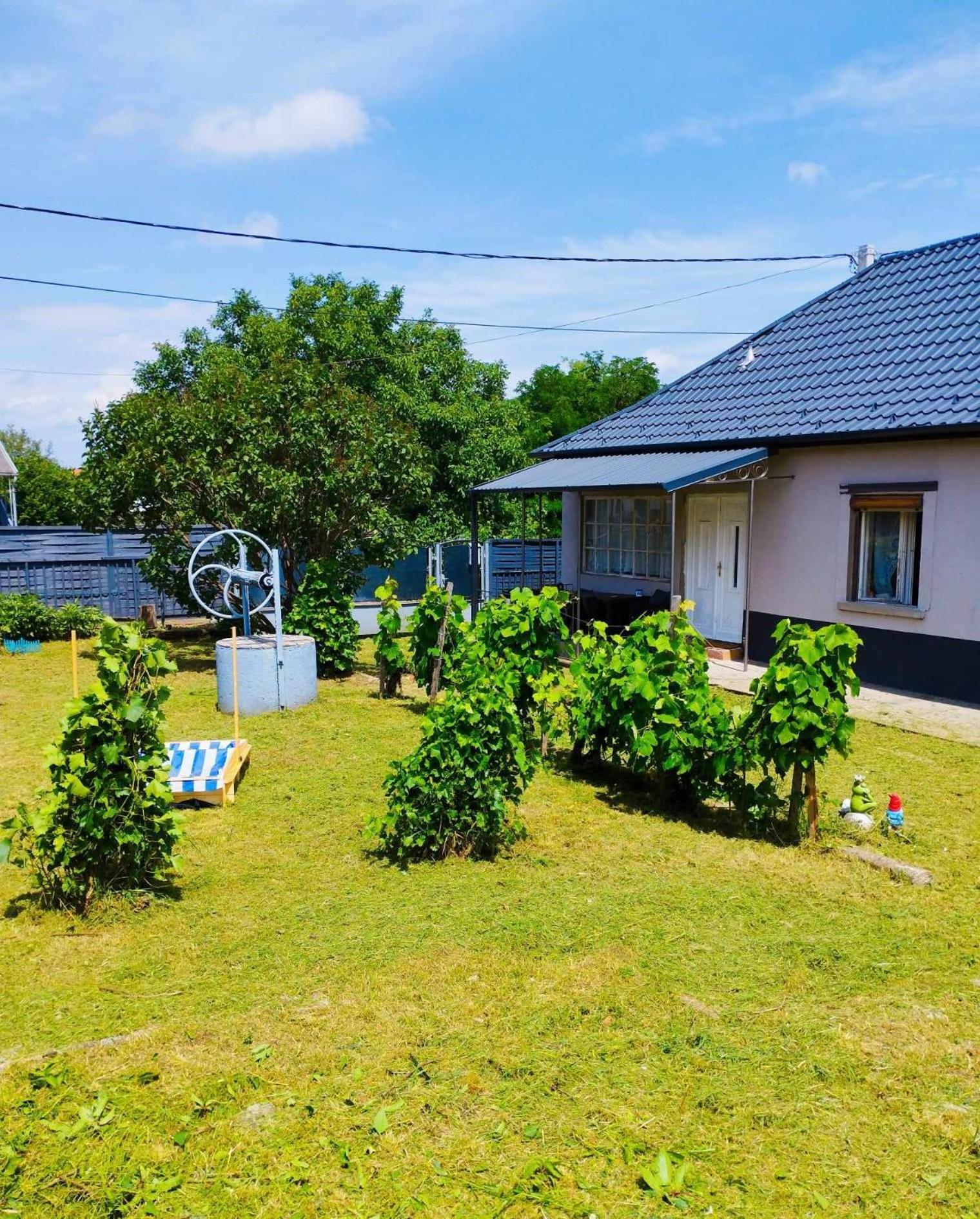 Ferienwohnung Lavender Vendeghaz Kicsi Falu Nagy Szivvel Varazslatos Legkoerrel Golop Exterior foto